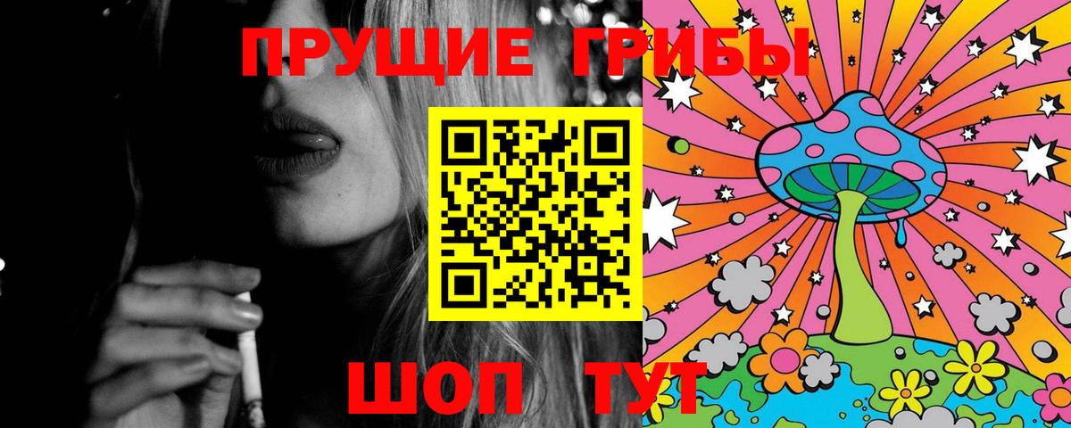 Галлюциногенные грибы Magic Shrooms  Вход с VPN  Заводоуковск 